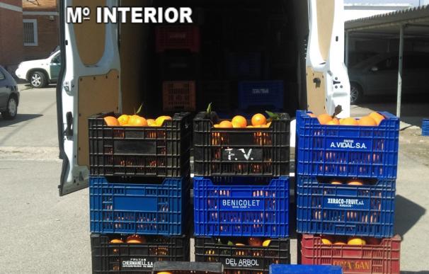 Detenidos dos hombres por sustraer 4.000 kilos de naranjas en Sant Joan de Moró y Vinaròs