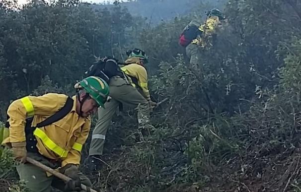 Extinguido un incendio en El Borge, que afecta a tres hectáreas de matorral y arbolado