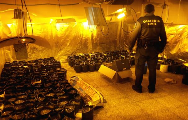 Detenidas dos personas y desmantelada una plantación de marihuana en una vivienda de Roquetas de Mar