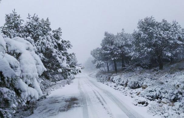 Murcia despide este domingo el invierno más cálido de los últimos 50 años