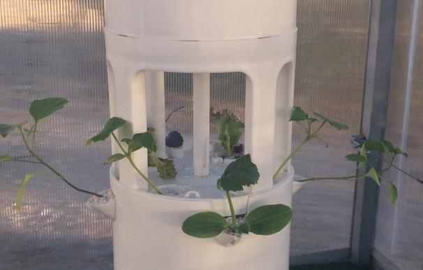 New Garden System lanza un nuevo sistema de cultivo modular hidropónico con macetas desmontables