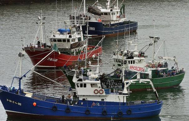La UE acuerda incrementar las capturas de anchoa en el Golfo de Vizcaya