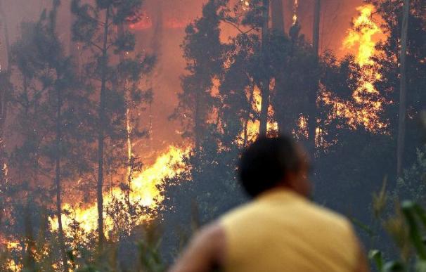 Once incendios activos afectan al norte de Portugal
