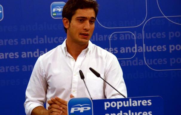 NNGG-A pide a Díaz que "no saque pecho" con el Plan de Empleo Joven porque lo "financian Europa y el Gobierno central"