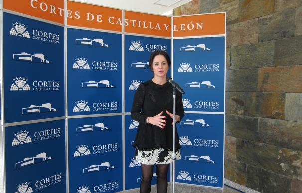 Las Cortes lideran una iniciativa para abrir una comisión de investigación en el Congreso sobre el accidente del Alvia