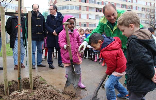 Las actividades del Día del Árbol arrancan con la plantación de un tilo en el colegio José María Pereda