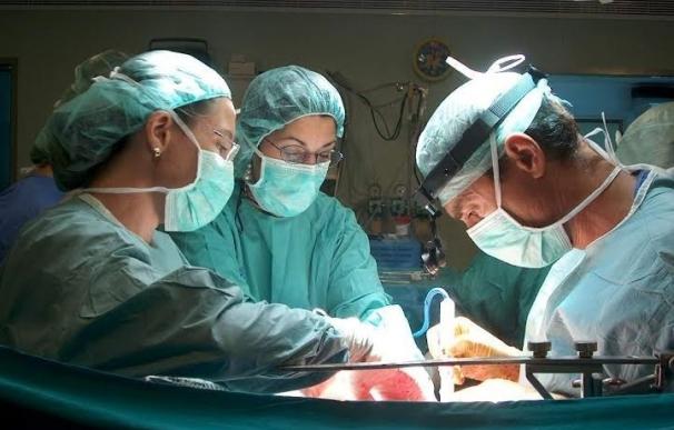 Profesionales sanitarios abordan los últimos avances para incrementar los trasplantes renales de donante vivo