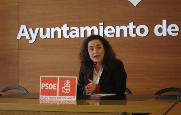 El PSOE volverá a votar 'no' a un presupuesto 2016 "que no ha variado en nada"