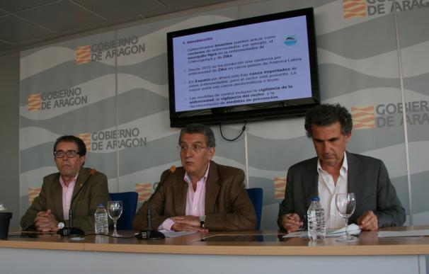 Sanidad vigila la expansión del mosquito tigre en Aragón