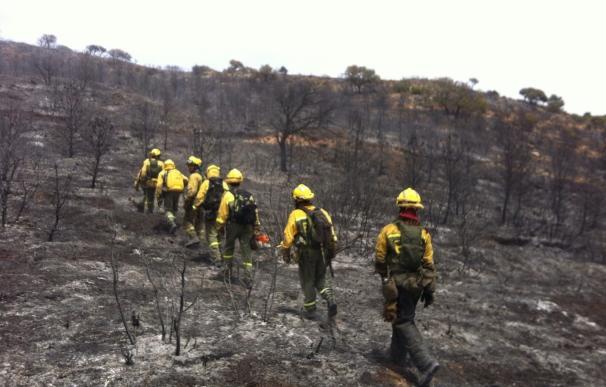 Controlado el fuego de Belmontejo (Cuenca), que ha afectado a unas 200 hectáreas agrícolas