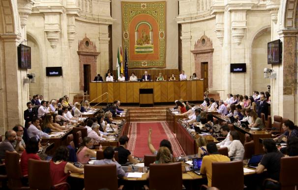 El Parlamento cierra este jueves el periodo de sesiones con un Pleno reducido a la sesión de control y una moción