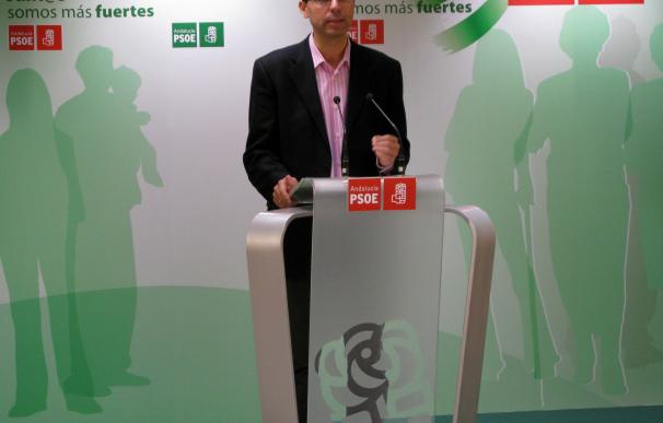 El PSOE pide al PP que "deje de amparar a la concejala de Marbella que no cumple la legalidad"