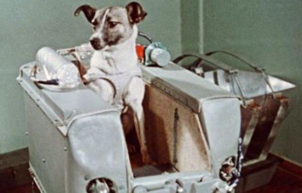 Se cumplen 56 años del lanzamiento de Laika al espacio