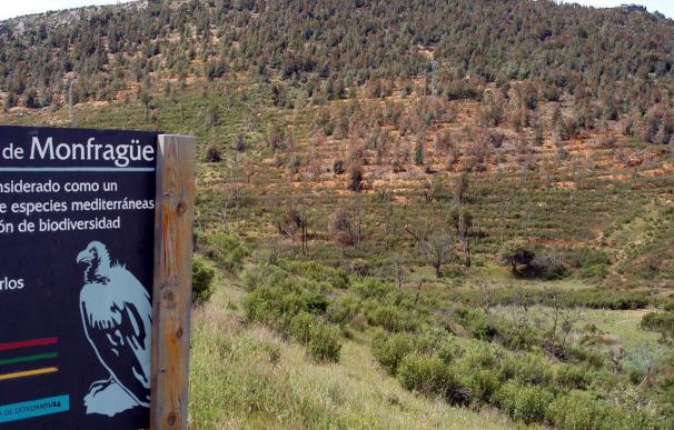 Ecologistas Extremadura critica el impacto de la feria de ornitología en Monfragüe y pide cambios