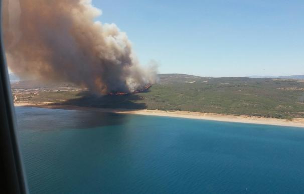 Declarado un incendio forestal en el paraje Santa Margarita en La Línea