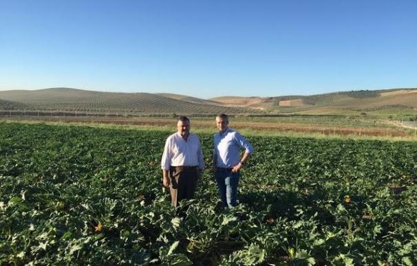 La Junta comprueba las prácticas en agricultura ecológica de Econatur en Santaella