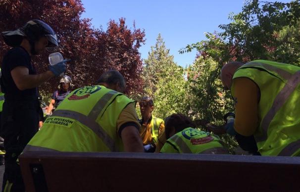 Muere el hombre de 58 años herido tras caerle encima una rama de grandes dimensiones en Moratalaz