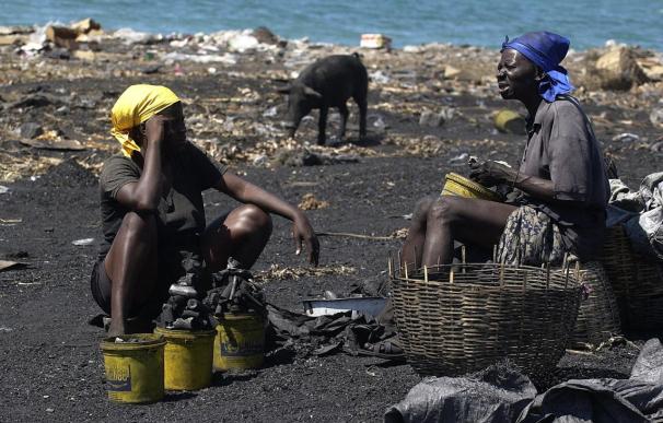 Oxfam estima prioritario invertir en agricultura para reconstruir Haití