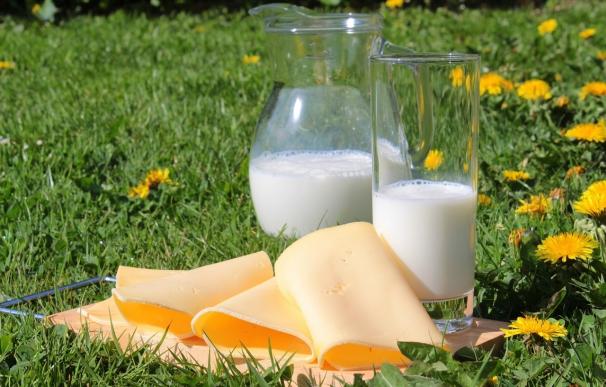 Facua denuncia diferencias de hasta un 85% en los precios de la leche entera