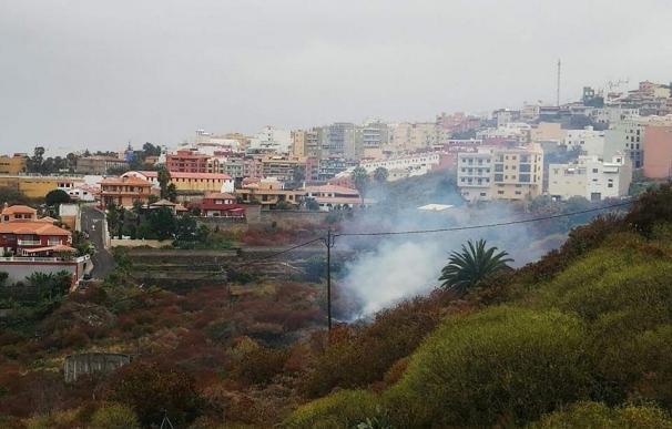 Los bomberos extinguen un incendio en rastrojos en Icod de los Vinos (Tenerife)