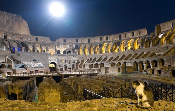 En las entrañas del Coliseo