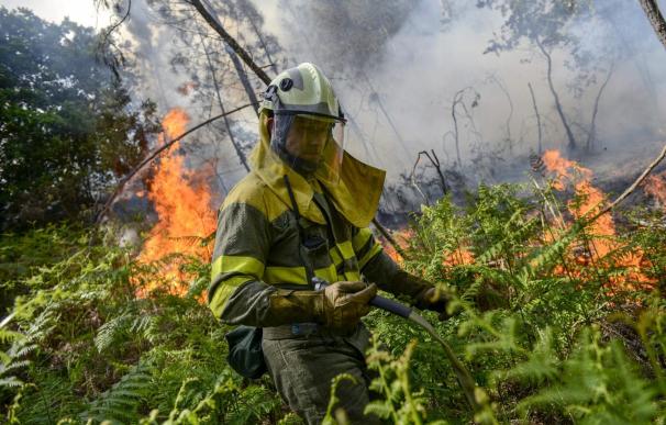 Un experto reclama un ejército de pastores para prevenir los incendios forestales