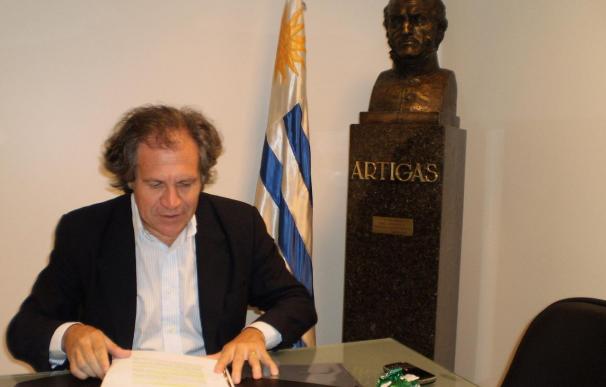 Almagro buscará atender la situación de los uruguayos ilegales con hijos en España
