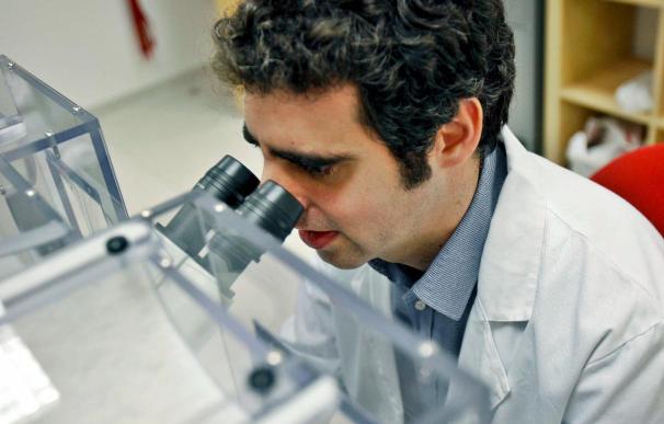Investigadores del Idibell identifican una sustancia que inhibe el crecimiento del cáncer