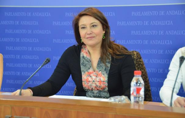 PP-A pide a Susana Díaz "ese espíritu de la Transición" que necesita España y que elimine el "bloqueo" de su lenguaje