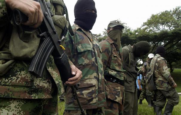 Un desmovilizado de las FARC confirmó adiestramiento con ETA, según la prensa