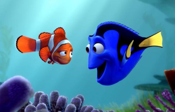 Marlin y Dory 'buscan a Nemo'