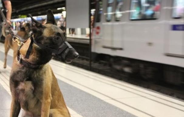 Los madrileños ya pueden viajar con sus perros en el Metro