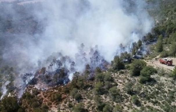 Declarado en Ayora (Valencia) un incendio forestal que evoluciona favorablemente
