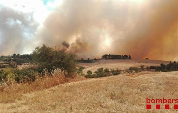 El incendio de Vallbona de les Monges afecta a unas 450 hectáreas