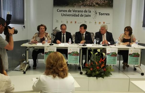 Diputación subraya la calidad de los Cursos de Verano de Torres que abordan temas de máxima actualidad