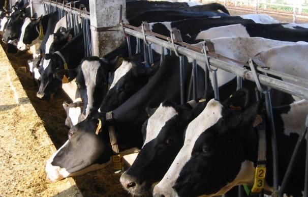 Abierto el plazo para solicitar las ayudas de la Diputación de Palencia a la promoción comercial del sector lácteo