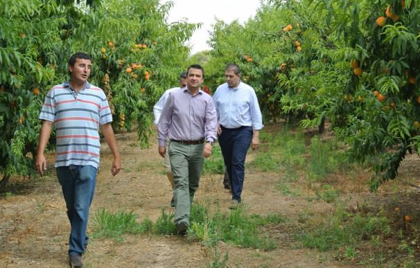 Martínez pide al Gobierno central que "tenga en cuenta" a los agricultores de C-LM en la prórroga del Decreto de Sequía