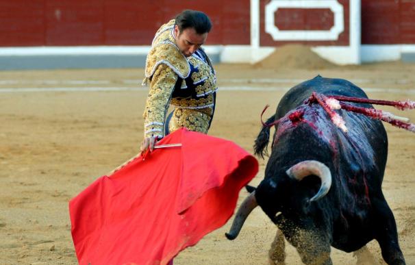 El Instituto de la Lengua lleva a Palencia el patrimonio lingüístico de los toros