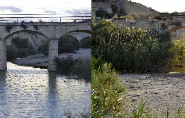 Campos del Río achaca que el río Mula no traiga caudal a los más de 20 pozos realizados en la cabecera y pide soluciones