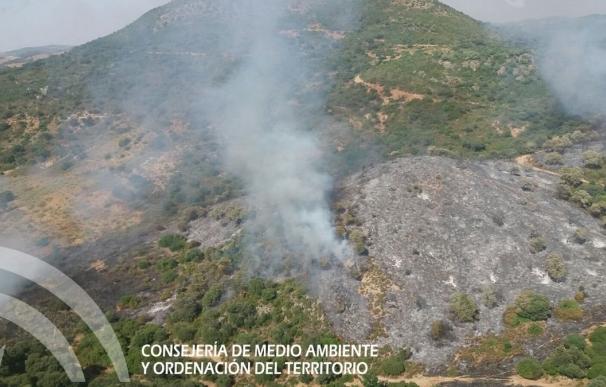 Estabilizado el incendio forestal declarado en el paraje Las Encarnaciones de Morón