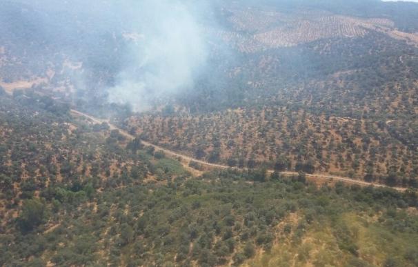 Declarado un incendio forestal en el paraje Perro de Las Piletas de Villaviciosa