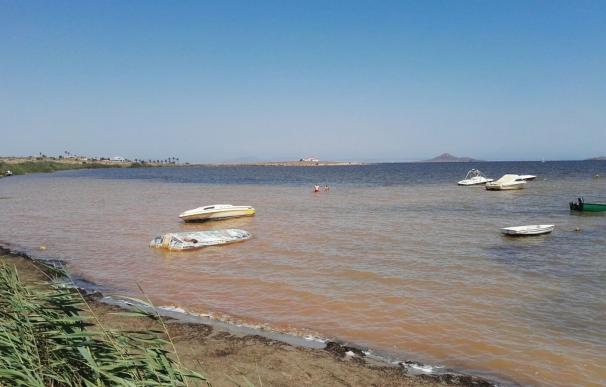 PSOE pide al Gobierno regional actuaciones "urgentes y creíbles" para frenar el galopante deterioro del Mar Menor