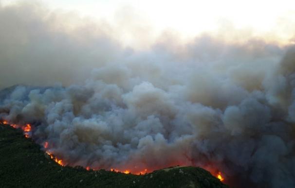 El Gobierno de Aragón solicita la colaboración ciudadana para prevenir incendios forestales