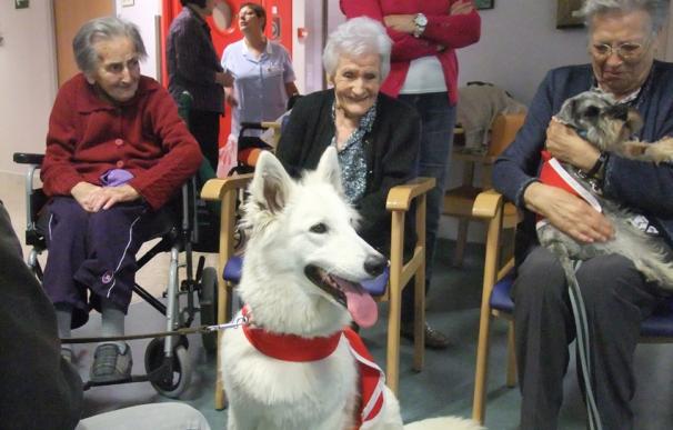 El Hospital de Campdevànol (Girona) realiza una prueba piloto de terapia asistida con animales