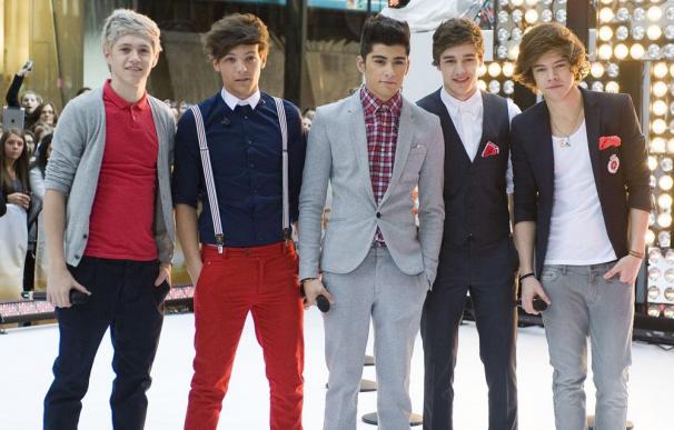 Los chicos de One Direction evitarán a sus fans con disfraces de animales