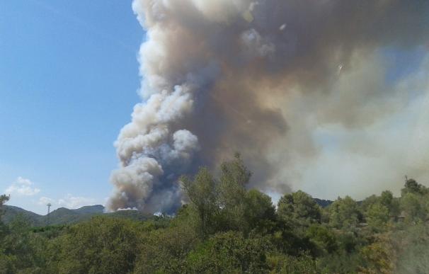 Un total de 13 medios aéreos trabajan en la extinción de un incendio forestal en Artana (Castellón)