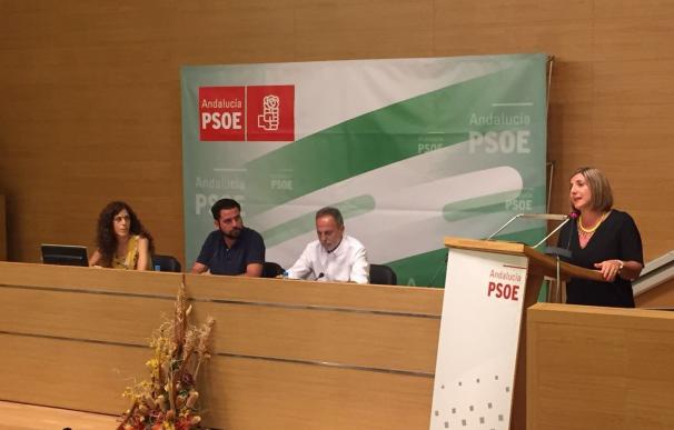 El PSOE rinde cuentas ante el Comité provincial de los últimos seis meses y dos comicios
