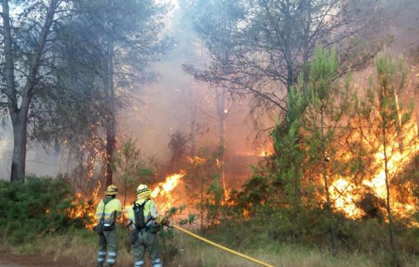 Un incendio descontrolado en Artana (Castellón) amenaza a la Sierra de Espadán