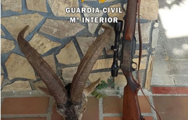 La Guardia Civil detiene a un hombre en Alcaucín sorprendido tras cazar un ejemplar de cabra montés
