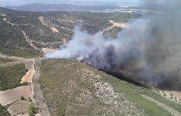 Controlado el fuego en la Sierra de Mariola de Bocairent tras quemar diez hectáreas
